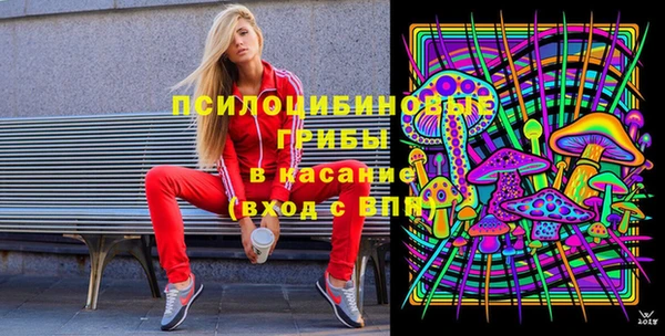 винт Абаза
