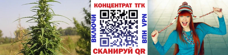 купить наркотики цена  blacksprut зеркало  ТГК THC oil  Приозерск 