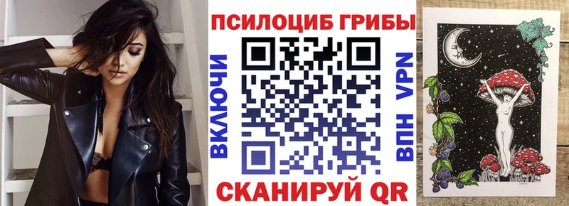 купить наркотики сайты  Приозерск  Галлюциногенные грибы GOLDEN TEACHER 